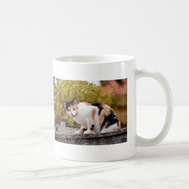 Taza De Café Tricolor (Derecha)