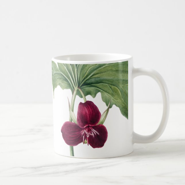 Taza De Café Trillium Botanical (Derecha)