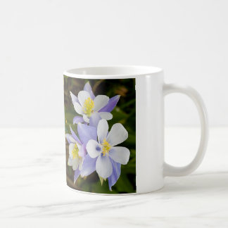 Taza De Café Tríos y nueva floración