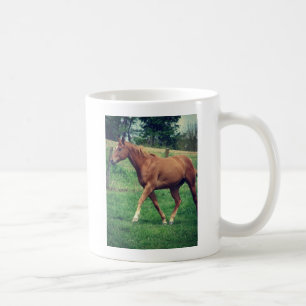 Taza De Café Trot, Scotch