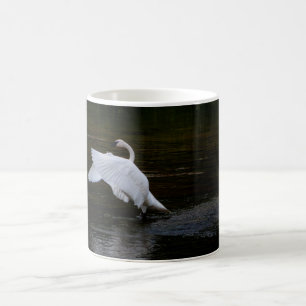 Taza De Café Trumpeter Swan