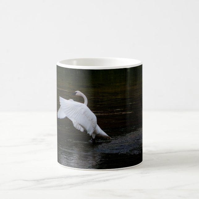 Taza De Café Trumpeter Swan (Centro)
