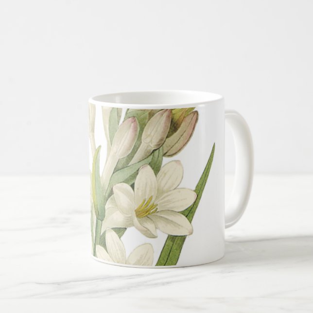 Taza De Café tuberosa (Tuberosa sp.) de Redouté (Anverso derecho)