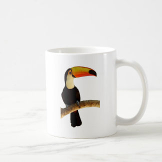 Taza De Café tucano passaro exótico da fauna brasileira