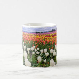 Taza De Café Tulip Farm