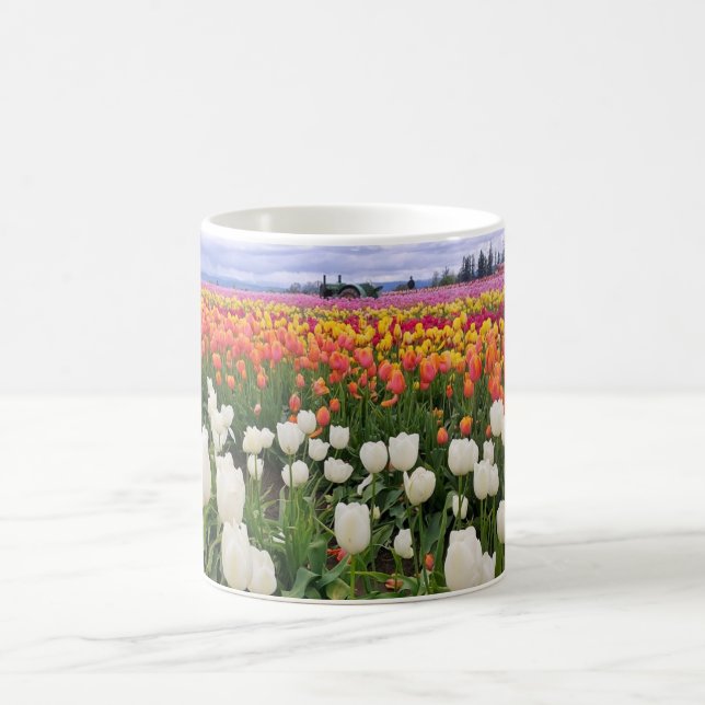 Taza De Café Tulip Farm (Centro)