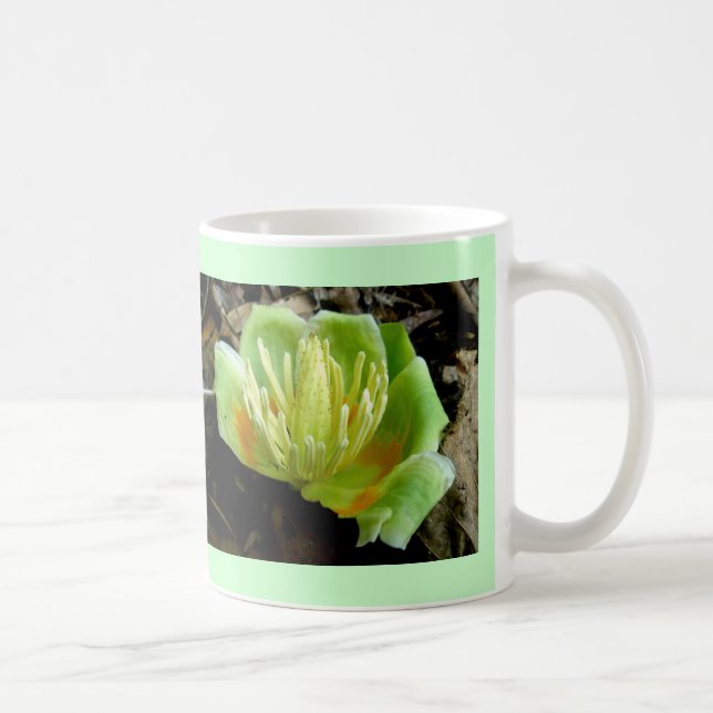 Taza De Café Tulip Poplar Flower Cup (Derecha)