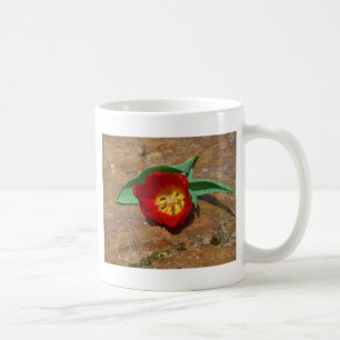 Taza De Café Tulip rojo primavera