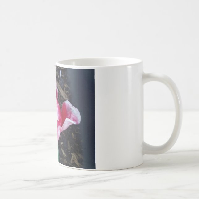 Taza De Café ¡Tulipán! (Derecha)