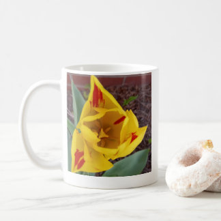 Taza de café Tulipán Amarillo