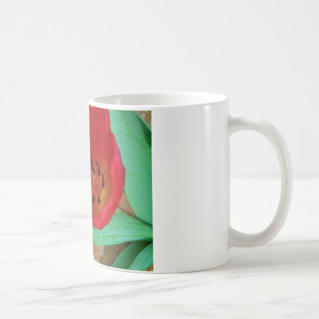 Taza De Café Tulipán rojo y amarillo primavera (Derecha)