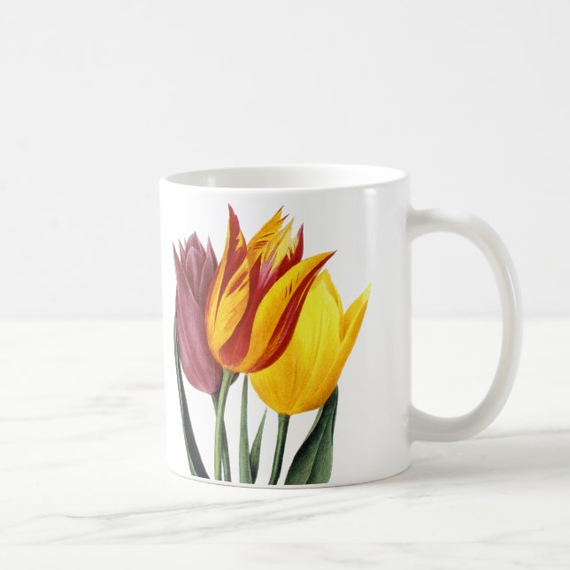Taza De Café Tulipán (Tulipa Gesneriana) (Derecha)