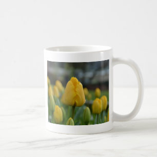 Taza De Café Tulipanes amarillos en el campo
