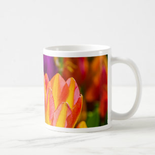 Taza De Café Tulipanes encantadores 16