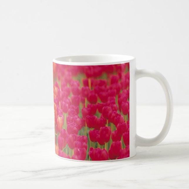 Taza De Café Tulipanes naranja y rosa (Derecha)