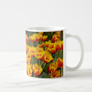 Taza De Café Tulipanes rojos y amarillos