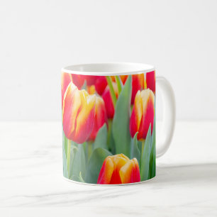 Taza De Café Tulipanes rojos y amarillos vibrantes en jardín de