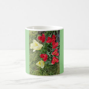 Taza De Café Tulipanos