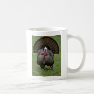 Taza De Café Turquía