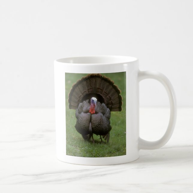 Taza De Café Turquía (Derecha)