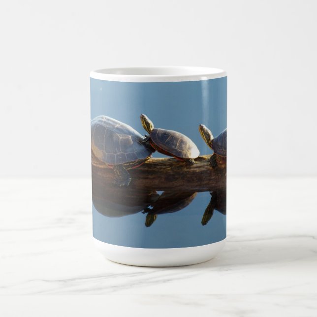 Taza De Café Turtle Trio Mug (Centro)