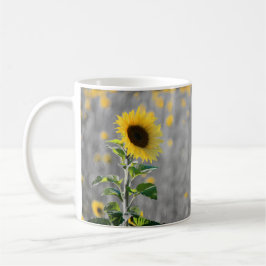 Taza De Café Un campo de girasoles en blanco y negro