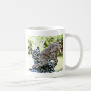 Taza De Café Un gatito canadiense juguetón del lince