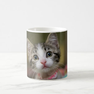 Taza De Café Un gatito lindo con ojos verdes