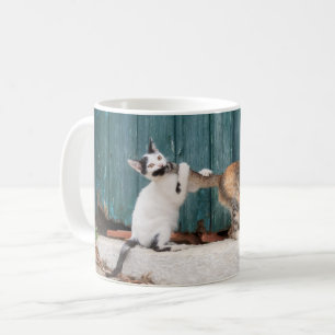 Taza De Café Un gatito lindo persiguiendo la foto de un gato gr