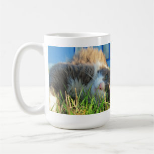 Taza De Café Un gato soleado está soleado