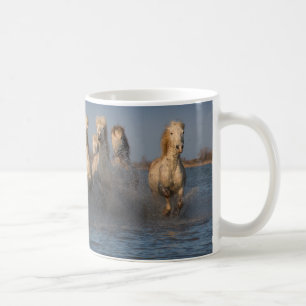 Taza De Café Un grupo de caballos blancos en la región de