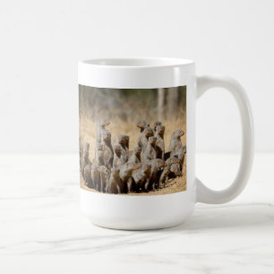 Taza De Café Un negocio de la mangosta