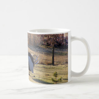 Taza De Café Un pájaro viejo duro