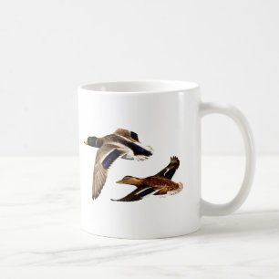 Taza De Café Un par de patos mallardos