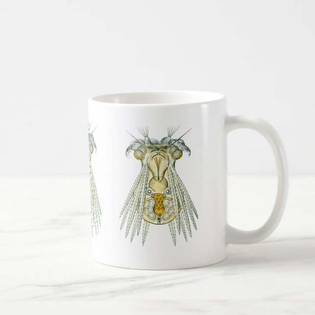 Taza De Café Un rotífero (Derecha)