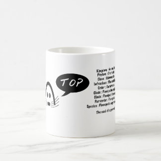 Taza De Café un sello de aprobación, pinnepedia approbatione.