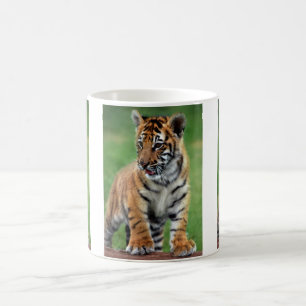 Taza De Café Un tigre bebé lindo
