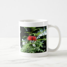 Taza De Café Una flor roja llamada Phoenix
