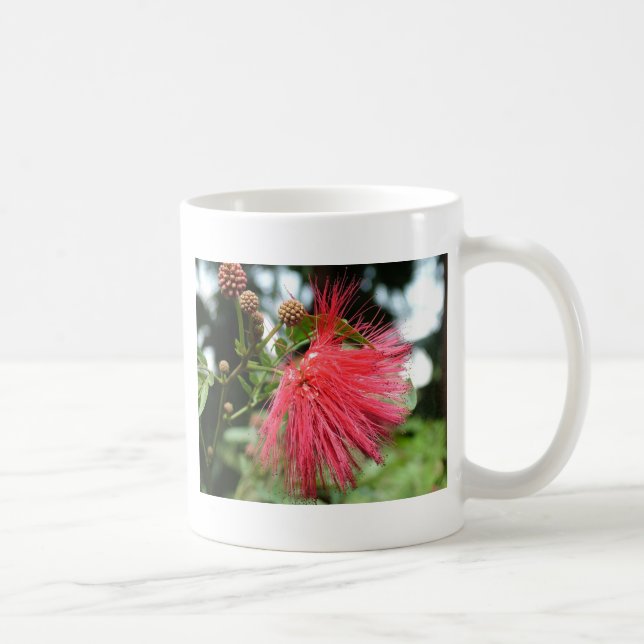 Taza De Café Una flor roja llamada Phoenix (Derecha)