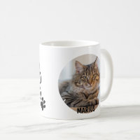 Una Foto Mejor Papá Gato de la Historia Huellas de