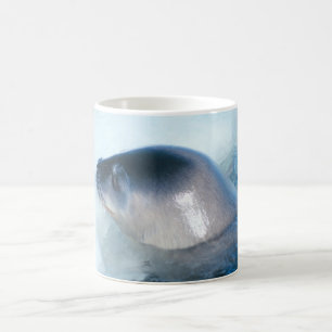 Taza De Café Una pequeña cría de foca
