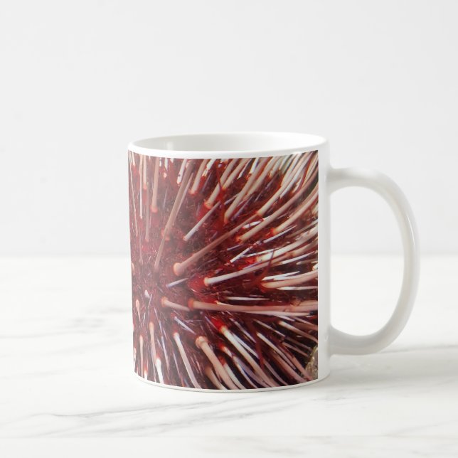 Taza De Café Urchin gigante del Mar Rojo - Mug (Derecha)