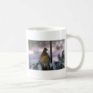 Taza De Café Urogallo superado encaramado en árbol nevoso