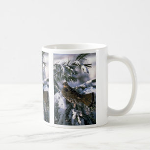 Taza De Café Urogallo superado encaramado en un árbol nevoso