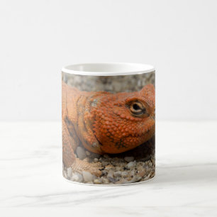 Taza De Café Uromastyx geyri