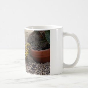 Taza De Café Uromastyx geyri