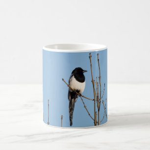 Taza De Café Urraca