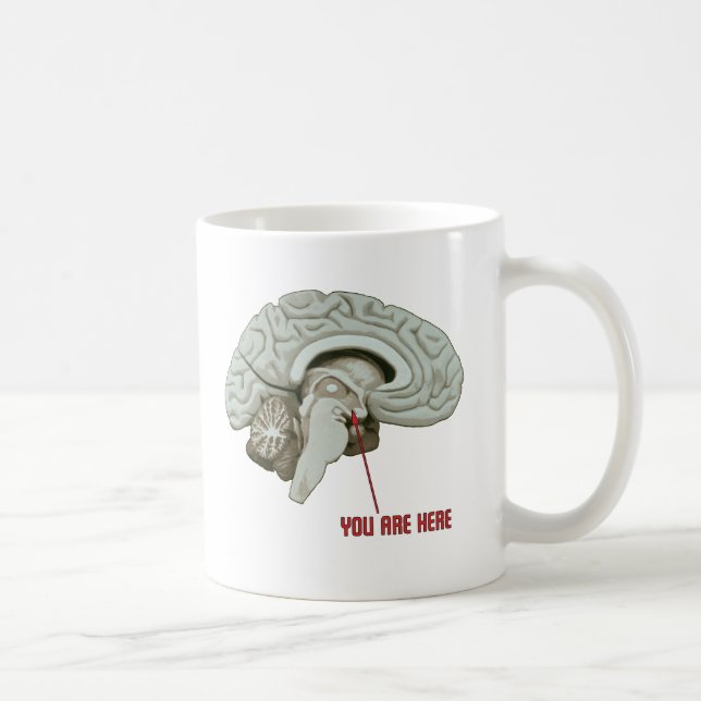 Taza De Café Usted está aquí (Derecha)