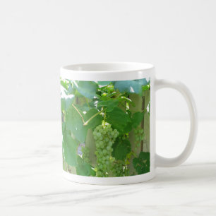 Taza De Café Uvas sin semillas blancas dulces y jugosas