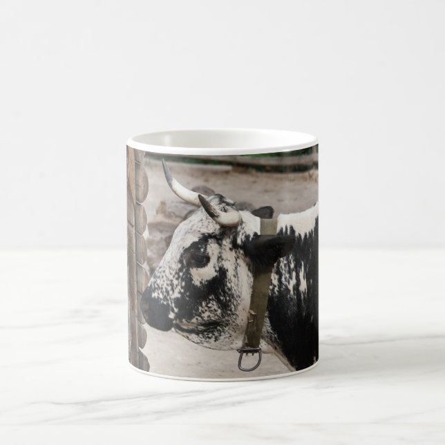 Taza De Café Vaca pustertal (Centro)